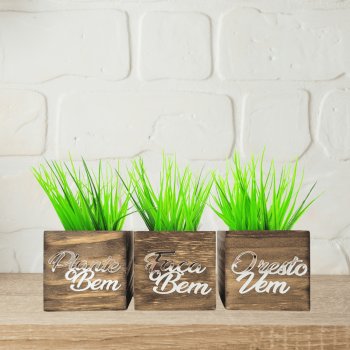 Trio de Vasinhos com Planta Artificial - Frase Motivacional Espelhada - Plante o Bem, Faça o Bem, o Resto Vem - Prata
